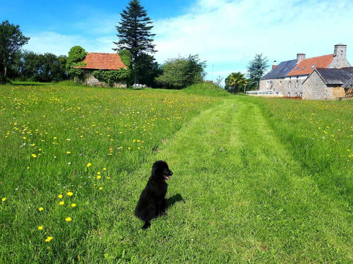 L' Anpeg, Gite Dans Le Cotentin Jusqu'A 8 Personnes Besneville 外观 照片