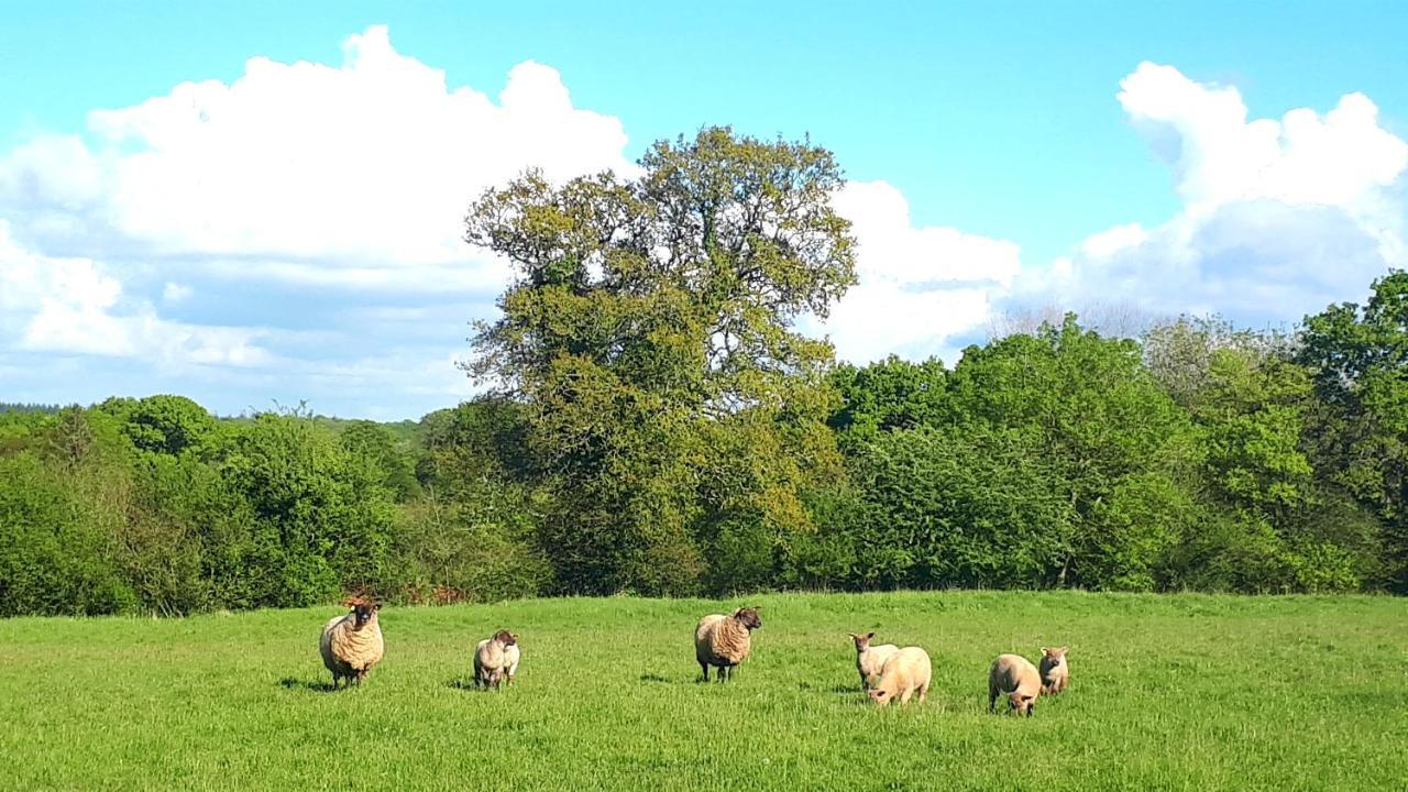 L' Anpeg, Gite Dans Le Cotentin Jusqu'A 8 Personnes Besneville 外观 照片